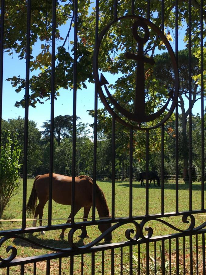 Chateau Du Go Guest house Albi